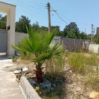 220 متری قابل ساخت سند تک‌برگ با انشعابات/ سرخرود