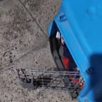 باکس سگ|لوازم جانبی حیوانات|تهران, مخصوص|دیوار