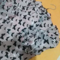 شومیز مجلسی|لباس|یزد, |دیوار