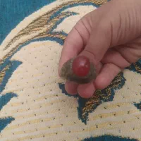 انگشتر بنام یا حسین