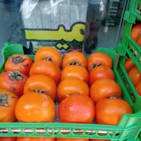 ارزانسرای میوه و تره بار بختیاری|خوردنی و آشامیدنی|فولادشهر, B7|دیوار