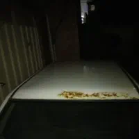 فروش پراید ۸۸ شاسی پلمپ|خودرو سواری و وانت|قائمشهر, |دیوار