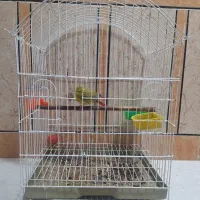 قفس طوطی،قفس پرنده