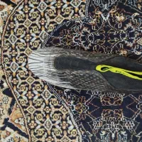 دوکفش اورجینال|تجهیزات ورزشی|کارون, |دیوار