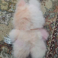 لبوبو