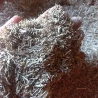 خارشتر دست چین ۱۴۵۰۰