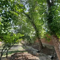 باغ در اسکو ۷۵۰ متر