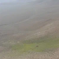 زمین محدوده جانبازان کوچه نوید