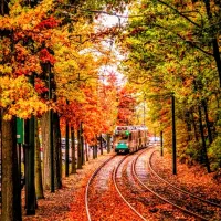 نیاز به راهنمایی