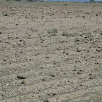 زمین پلاک داخل محدوده سجاد شهر
