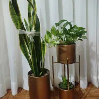 گل و گلدون باهم