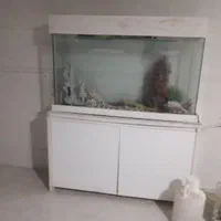 اکواریوم