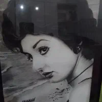 دوعدد تابلو سیاه قلم|تابلو، نقاشی، عکس|نیشابور, گنبد سبز|دیوار