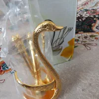 جا قاشقی