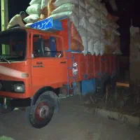 فروش انواع کاه باقیمت مناسب گیلوی یاشلیفی باسرویس