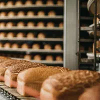 همکار ساده وفنی