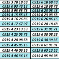 0919.5051541|سیمکارت|تهران, تهرانسر مرکزی|دیوار