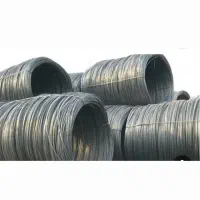 جذب نیروی کار خاموت زن و ساده در آهن فروشی