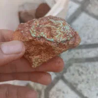 سگ راف فیروزه