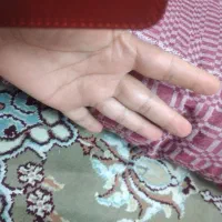 تشک تک نفره با پنبه سفارش پذیرفته میشه|رختخواب، بالش، پتو|سبزوار, شهرک ابوذر|دیوار