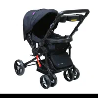 کالسکه دلیجان مدل بنیتا