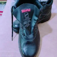 کفش کار ایمنی|کیف، کفش، کمربند|رفسنجان, |دیوار