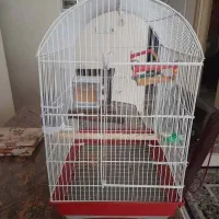 قفس پرنده