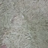 جو محلی پاک