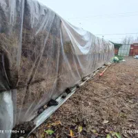 کاه بسته بندی شده فشرده خشک خشک