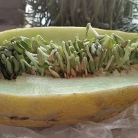 سیم کارت