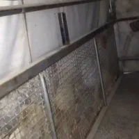 اتاق مزدا|قطعات یدکی و لوازم جانبی|پاسارگاد, |دیوار