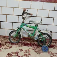 دوچرخه بچگانه ۱۲ و۱۶