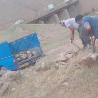 نیسان جکی|خدمات حمل و نقل|مسجد سلیمان, |دیوار