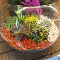 انواع گل طبیعی|گل و گیاه طبیعی|اصفهان, دنارت|دیوار