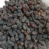 کشمش مال امسال کاملا اورگانیک