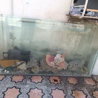 آکواریوم بزرگ