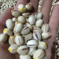 سلام پسته دست پوست تازه