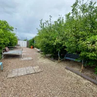 همکارخانوم جهت پشت میز ونظافت