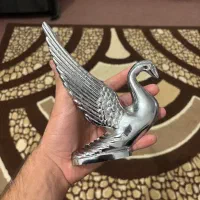 قو درحد
