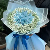 دسته گل پولی|گل مصنوعی|امیدیه, |دیوار