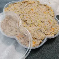 غذای خونگی برای گربه وسگ