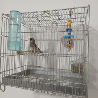 سهره نر رام رام