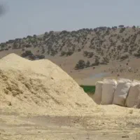 کاه جو