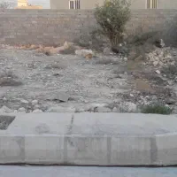 1450-متر-زمین-4-دیواری-خادم-آباد