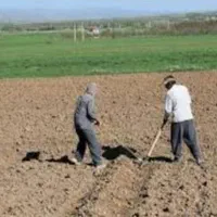 کارگرباغ،باغچه|خدمات باغبانی و درختکاری|ارومیه, |دیوار