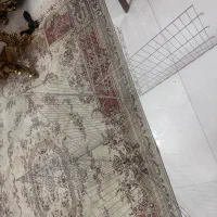 پارک سگ ۸ظلعی|لوازم جانبی حیوانات|گرگان, |دیوار