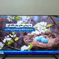 تلویزون55اینچ دنای