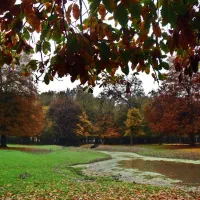 مدارک گم شده.