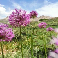 لوازم وتجهیزات عکاسی