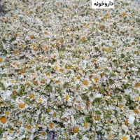 میخواهی کبد چرب ،یبوست را راحت درمان کنی|خوردنی و آشامیدنی|لردگان, |دیوار